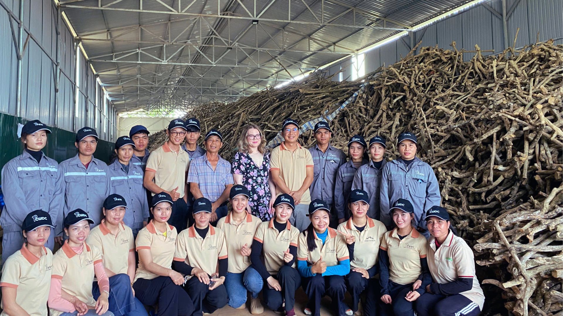 the-rise-of-natural-pet-products-why-coffee-wood-chews-are-becoming-a-global-trend-made-in-vietnam-cwdc