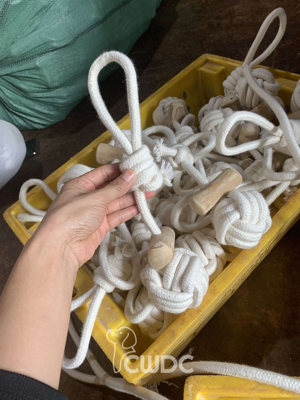 Coffee Wood Cotton Rope Dog Toy in use - natural chew and tug toy for dogs
