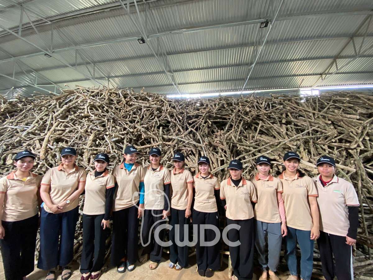 coffee_wood_dog_chew_made_in_vietnam_from_cwdc_1