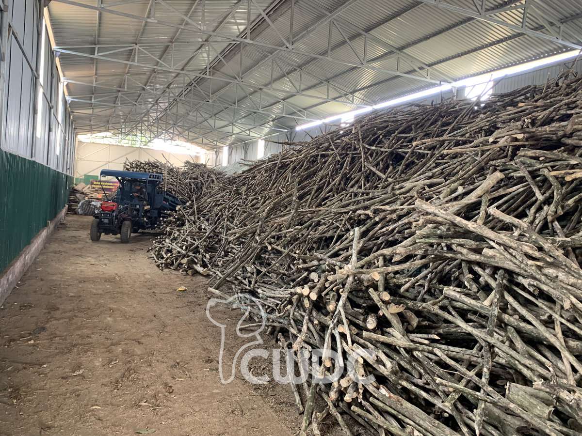 coffee_wood_dog_chew_made_in_vietnam_from_cwdc_19