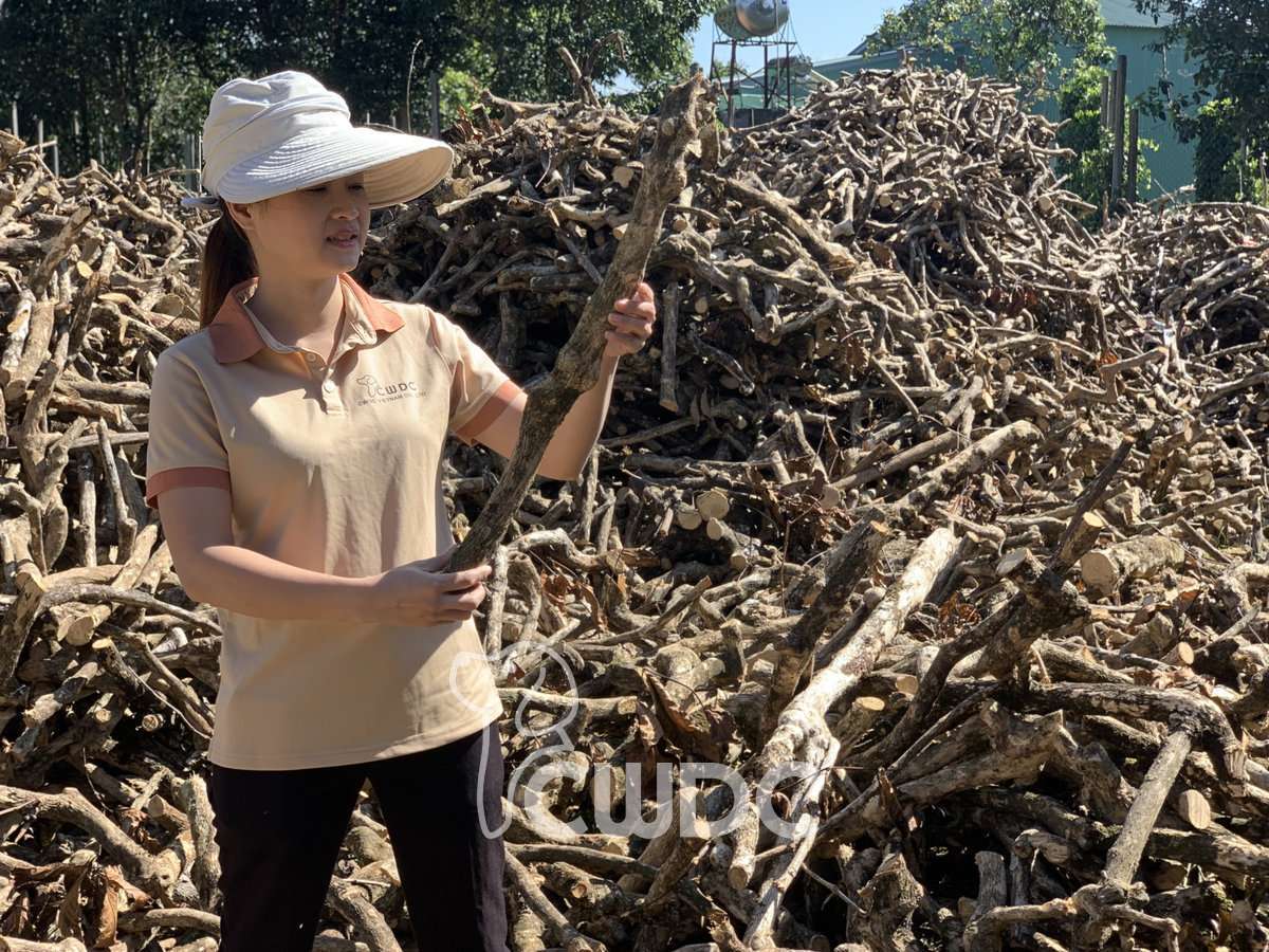 Coffee wood dog chew sustainability story from Vietnam coffee farm CWDC