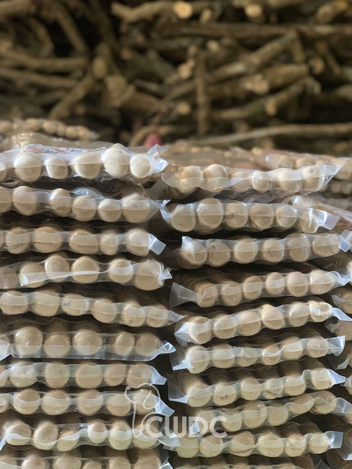 Natural coffee wood chew helps clean dog teeth between vet cleanings CWDC