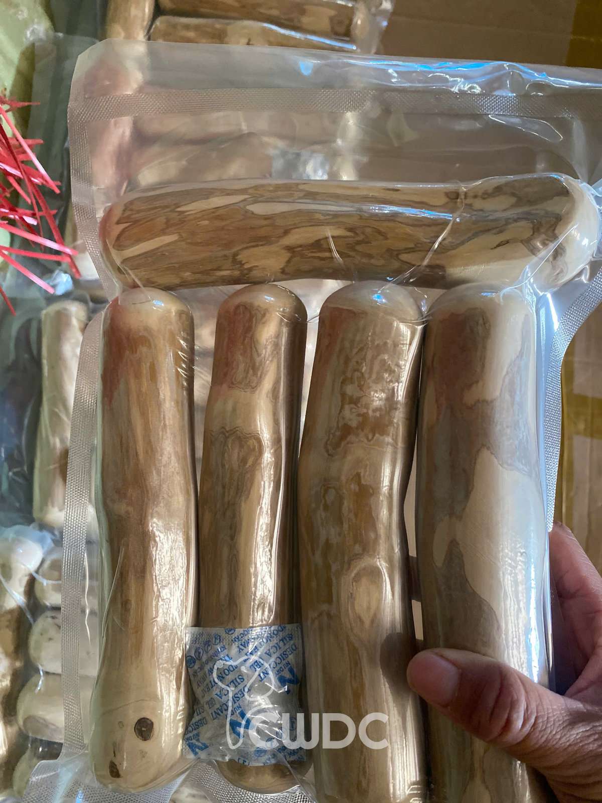 coffee_wood_dog_chew_made_in_vietnam_from_cwdc_45