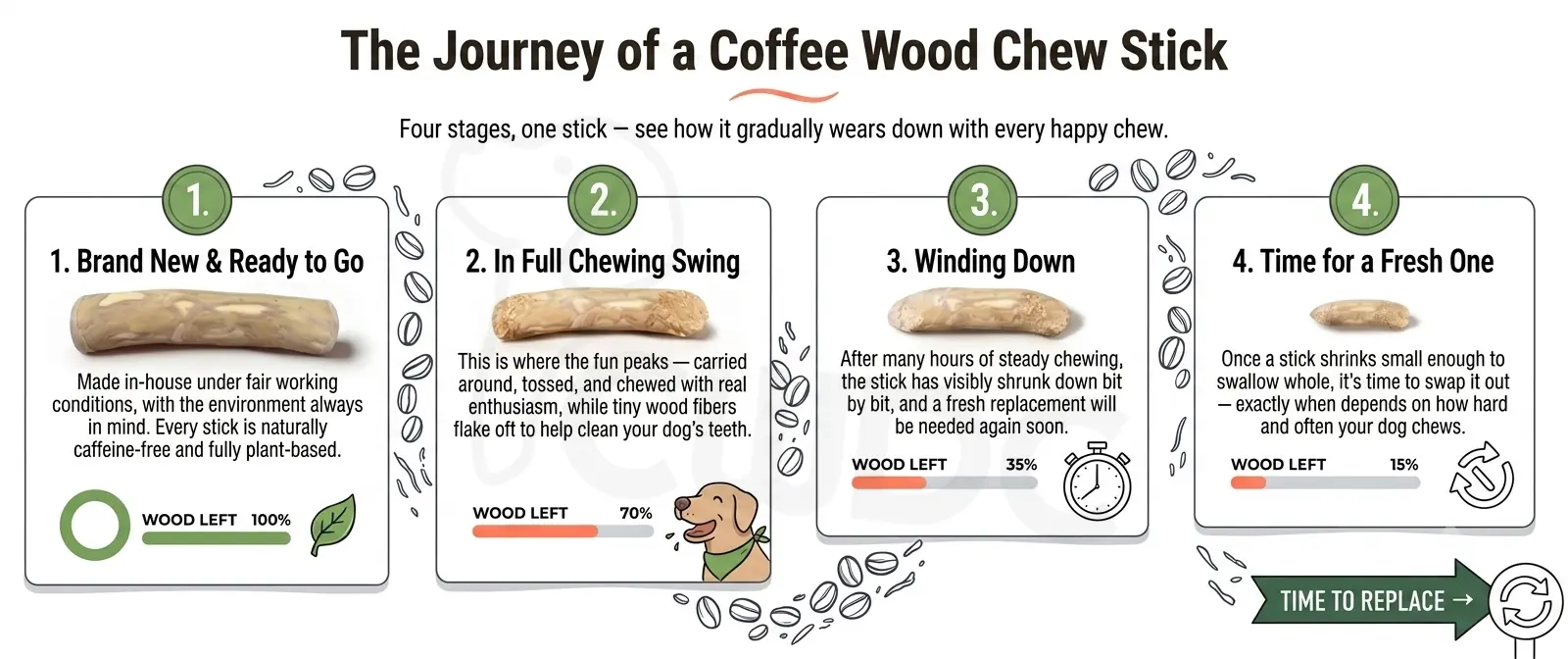 the-journey-of-a-coffee-wood-chew-stick-from-cwdc-made-in-vietnam
