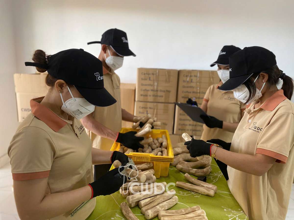 coffee-wood-chew-samples-what-importers-should-check-2