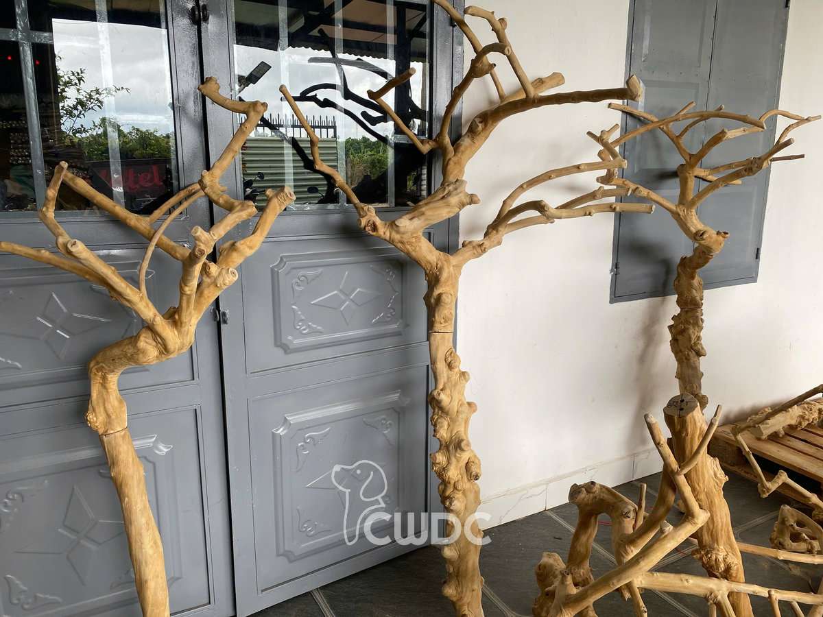 Several finished Java wood bird playstands standing upright, each with a different natural branch shape