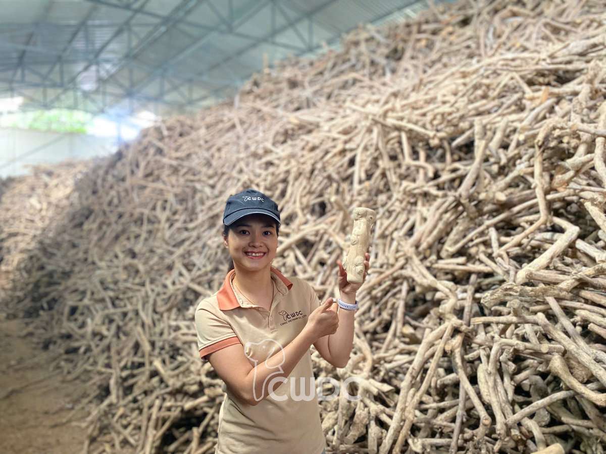 coffee_wood_dog_chew_manufacturer_made_in_vietnam_from_cwdc_1