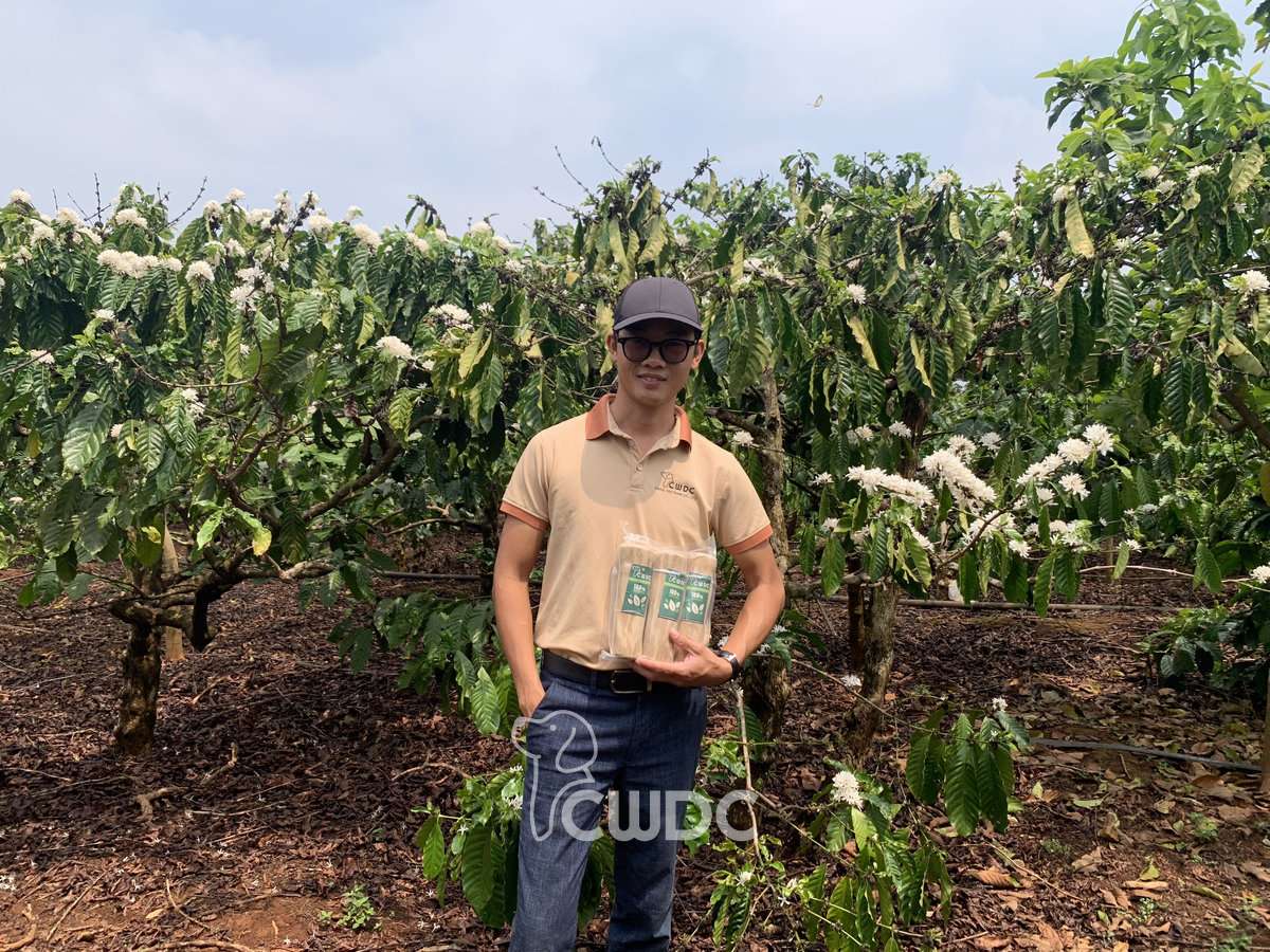 CWDC Vietnam team member visiting a coffee farm in Vietnam's Central Highlands to verify raw material sourcing