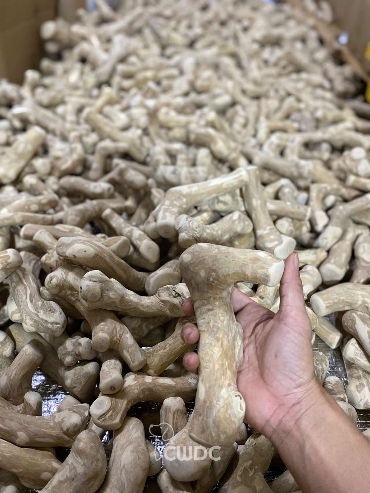 A hand holding up a single finished Gorilla Coffee Wood Chew for inspection above a bulk batch