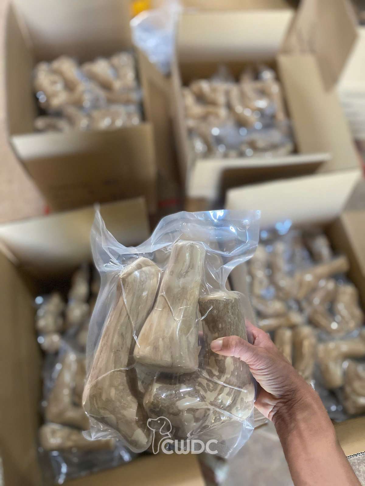 how-we-package-gorilla-coffee-wood-chew-for-export